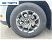 2025 Ford Maverick XLT (Stk: SRA77136) in Wallaceburg - Image 10 of 23