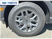 2025 Ford Bronco Sport Big Bend (Stk: SRE66845) in Wallaceburg - Image 10 of 24