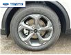 2025 Ford Escape ST-Line (Stk: SUA92104) in Wallaceburg - Image 10 of 26