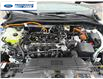 2025 Ford Escape ST-Line (Stk: SUA92104) in Wallaceburg - Image 26 of 26