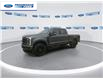 2025 Ford F-250 XLT (Stk: SEC56952) in Wallaceburg - Image 4 of 25