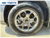 2022 Ford Maverick XLT (Stk: NRA61296A) in Wallaceburg - Image 10 of 25