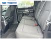 2020 Ford F-150 XLT (Stk: LFB11360) in Wallaceburg - Image 22 of 25