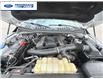 2020 Ford F-150 XLT (Stk: LFB11360) in Wallaceburg - Image 25 of 25