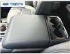 2025 Ford F-150 Lariat (Stk: SKE23353) in Wallaceburg - Image 13 of 17
