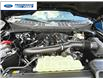 2025 Ford F-150 Lariat (Stk: SKE23353) in Wallaceburg - Image 17 of 17