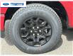 2025 Ford F-150 XLT (Stk: SFB02088) in Wallaceburg - Image 10 of 25