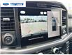 2025 Ford F-150 XLT (Stk: SFB02088) in Wallaceburg - Image 17 of 25