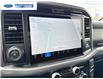 2025 Ford F-150 XLT (Stk: SFB02088) in Wallaceburg - Image 18 of 25