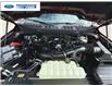 2025 Ford F-150 XLT (Stk: SFB02088) in Wallaceburg - Image 25 of 25