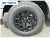 2025 Ford F-150 XLT (Stk: SFB02860) in Wallaceburg - Image 10 of 25