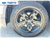 2023 Honda Ridgeline Black Edition (Stk: PB501060T) in Wallaceburg - Image 10 of 26