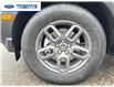 2025 Ford Bronco Sport Big Bend (Stk: SRE68400) in Wallaceburg - Image 10 of 24