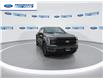 2025 Ford F-150 Lariat (Stk: SFB14396) in Wallaceburg - Image 3 of 25