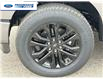 2025 Ford F-150 Lariat (Stk: SFB14396) in Wallaceburg - Image 10 of 25