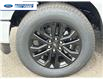 2025 Ford F-150 Lariat (Stk: SFB30250) in Wallaceburg - Image 10 of 25