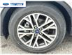 2022 Ford Escape SEL Hybrid (Stk: NUA77946T) in Wallaceburg - Image 10 of 25