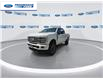 2024 Ford F-250 Platinum (Stk: REC19019T) in Wallaceburg - Image 4 of 26