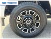 2024 Ford F-250 Platinum (Stk: REC19019T) in Wallaceburg - Image 10 of 26