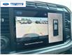 2024 Ford F-250 Platinum (Stk: REC19019T) in Wallaceburg - Image 17 of 26