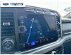 2024 Ford F-250 Platinum (Stk: REC19019T) in Wallaceburg - Image 18 of 26