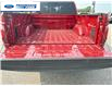 2025 Ford F-150 XLT (Stk: SKD79098) in Wallaceburg - Image 15 of 17
