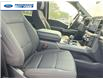 2025 Ford F-150 XLT (Stk: SKD79098) in Wallaceburg - Image 16 of 17