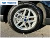 2022 Ford Edge SEL (Stk: NBA44114T) in Wallaceburg - Image 10 of 25