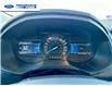 2022 Ford Edge SEL (Stk: NBA44114T) in Wallaceburg - Image 15 of 25