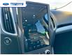 2022 Ford Edge SEL (Stk: NBA44114T) in Wallaceburg - Image 18 of 25