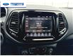 2020 Jeep Compass Limited (Stk: LT105843T) in Wallaceburg - Image 16 of 23