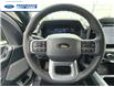 2025 Ford F-150 XLT (Stk: SFB30205) in Wallaceburg - Image 14 of 25