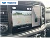 2025 Ford F-150 XLT (Stk: SFB30205) in Wallaceburg - Image 17 of 25