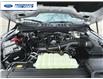 2025 Ford F-150 XLT (Stk: SFB30205) in Wallaceburg - Image 25 of 25