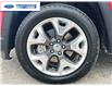 2020 Jeep Compass Limited (Stk: LT105843T) in Wallaceburg - Image 10 of 23