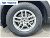 2025 Ford Explorer Active (Stk: SGC34625) in Wallaceburg - Image 10 of 24