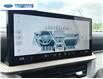2025 Ford Explorer Active (Stk: SGC34625) in Wallaceburg - Image 17 of 24