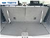 2025 Ford Explorer Active (Stk: SGC34625) in Wallaceburg - Image 22 of 24