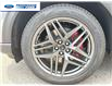 2025 Ford Explorer ST-Line (Stk: SGC13777) in Wallaceburg - Image 10 of 26