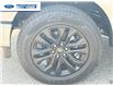 2025 Ford F-150 XLT (Stk: SFB24335) in Wallaceburg - Image 10 of 25