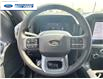 2025 Ford F-150 XLT (Stk: SFB24335) in Wallaceburg - Image 14 of 25