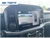 2025 Ford F-150 XLT (Stk: SFB24335) in Wallaceburg - Image 17 of 25