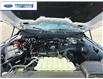 2025 Ford F-150 XLT (Stk: SFB24335) in Wallaceburg - Image 25 of 25