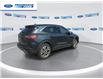 2022 Ford Escape SEL Hybrid (Stk: NUA96252T) in Wallaceburg - Image 8 of 18