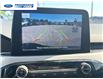 2022 Ford Escape SEL Hybrid (Stk: NUA96252T) in Wallaceburg - Image 16 of 18