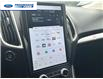 2023 Ford Edge SEL (Stk: PBA28677) in Wallaceburg - Image 16 of 25