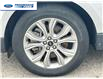 2023 Ford Edge Titanium (Stk: PBA30600) in Wallaceburg - Image 10 of 24 2023 Ford Edge Titanium (Stk: PBA30600) in Wallaceburg - Image 10 of 24
