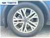 2022 Ford Escape SEL (Stk: NUA54545) in Wallaceburg - Image 10 of 25