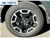 2024 Ford Bronco Sport Outer Banks (Stk: RRE67963T) in Wallaceburg - Image 10 of 24