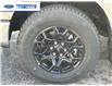 2025 Ford F-150 XLT (Stk: SFB52953) in Wallaceburg - Image 10 of 25